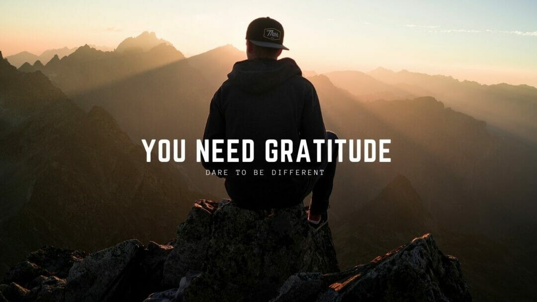 You Need Gratitude